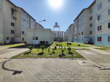 Apartamento - Venda - Areal - Pelotas - RS